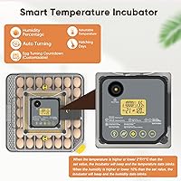 Vista 2 de Incubadoras para incubar huevos, incubadora de 48 huevos con control de humedad y temperatura y girador automático, incubadora de huevos de gallina