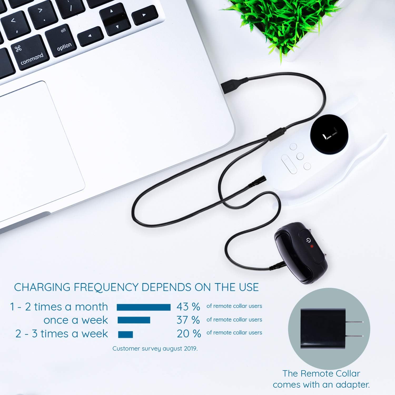 goodboy small size remote collar