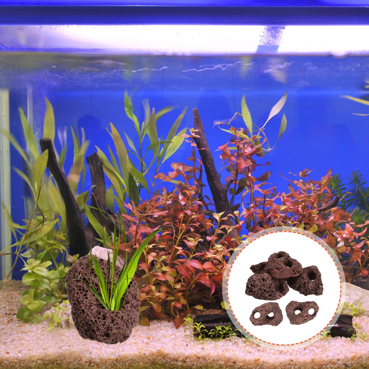 Happyyami Rocce Vulcaniche Naturali per Acquario 6 Pezzi Supporto Fisso per Piante Acquatiche Decorazioni di Pietra Lavica per Serbatoio Pesci E Gamberetti Ornamenti Acquario