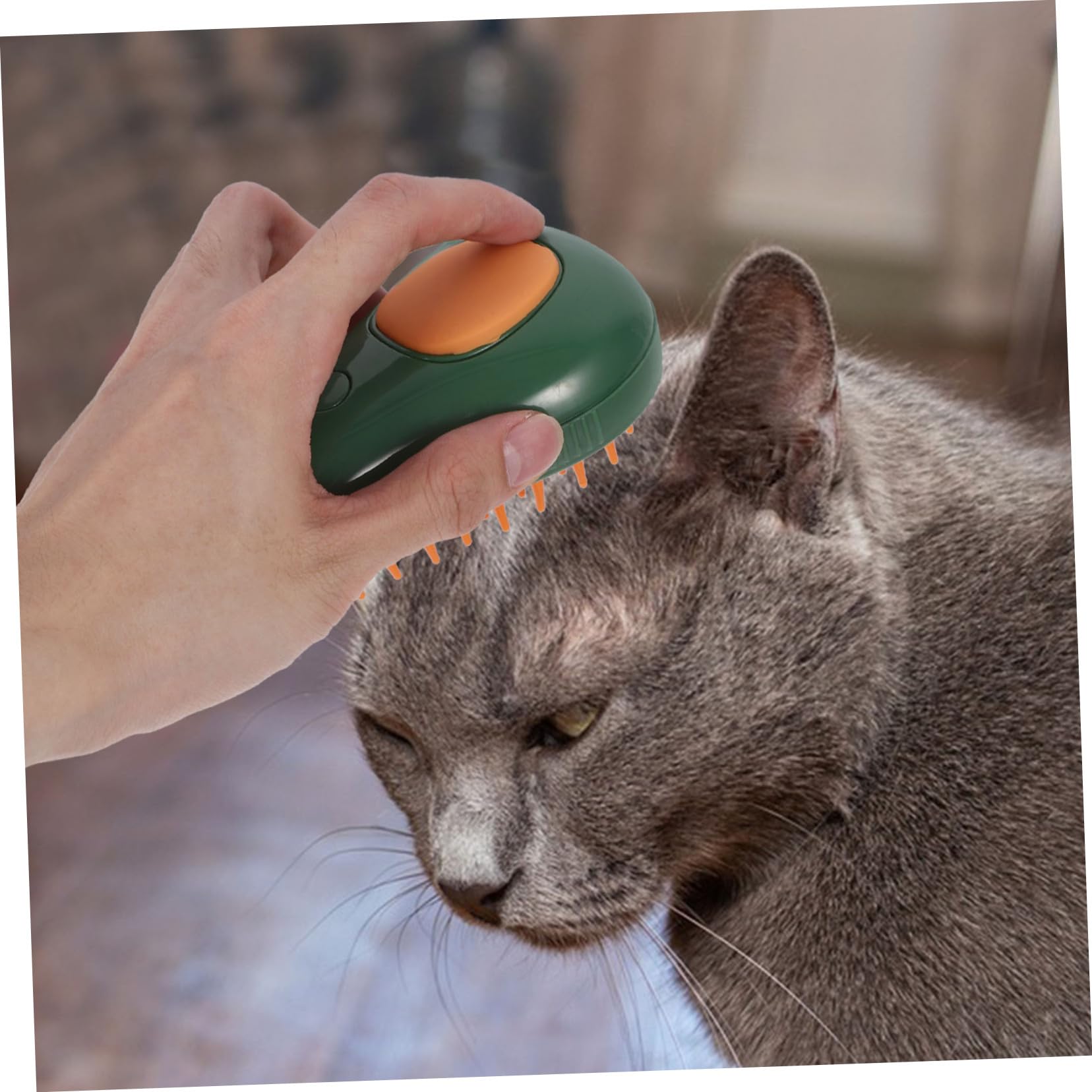 Sosoport 5pièces Brosse à Poils De Chat Et Chien Avec Vapeur Brosse De Bain Auto-nettoyante Et Massante Pour Animaux De Compagnie Couleur Verte