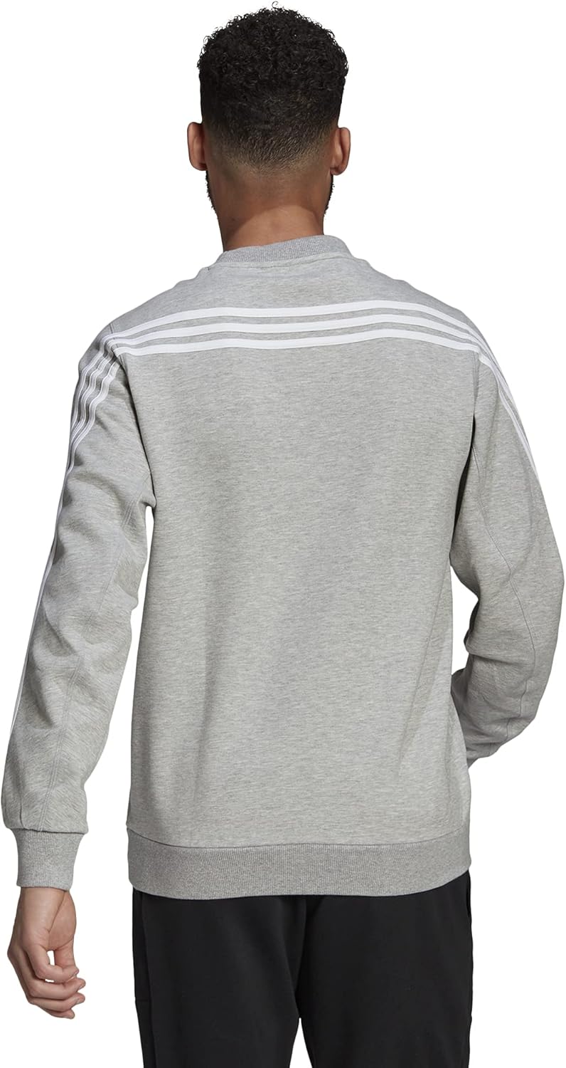 adidas mens Essentials Big Logo Hoodie