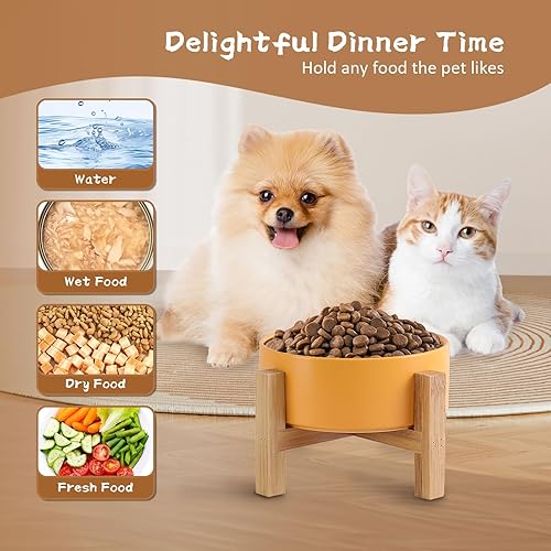 Miniatura 8 de Cuenco elevado de cerámica para gatos, cuenco de comida para gatos con soporte de bambú, plato elevado para perros para cachorros, antivómitos, sin