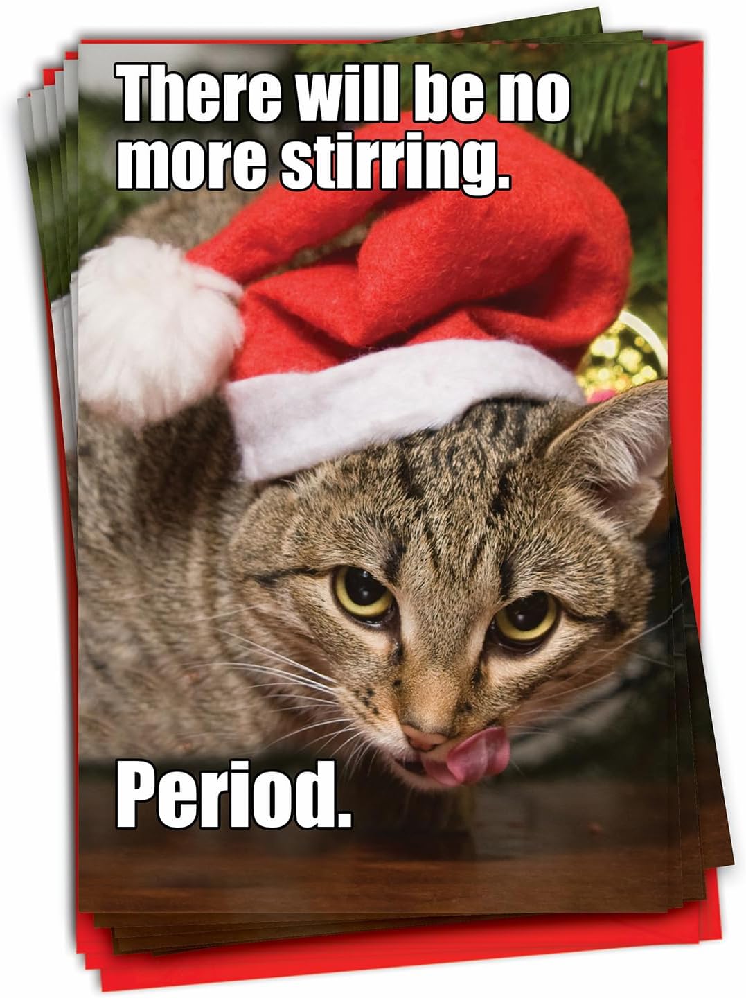NobleWorks - 12 Funny Cat Christmas Cards with Envelopes - Pet Animal Holiday Humor, Boxed Notecard Set (1 Design, 12 Cards) - No More Stirring Cat B1829