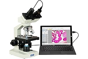 40X-2000X LED Binocular Compound Lab Microscope