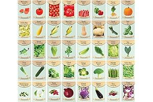 43 Vegetable and Herb Seeds - Semi Assorted - Try Germinating Vegetable...
