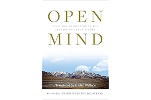 Open Mind: Dive Deep into Meditation with Lerab Lingpa's Age-Old Wisdom