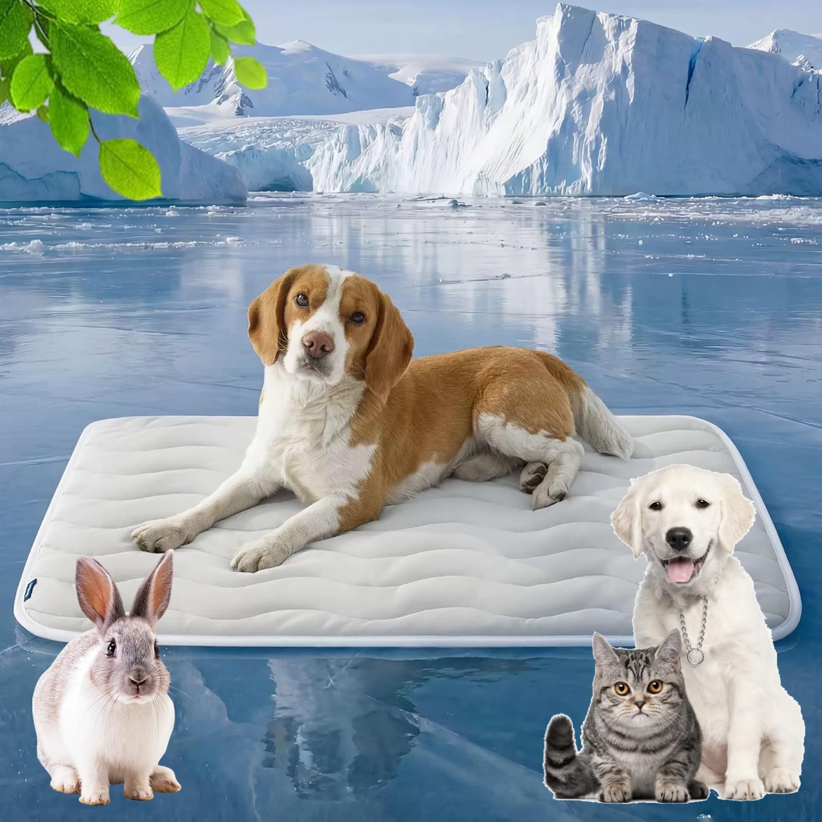 Tapis rafraîchissant pour chiens pour les siestes d'été au jardin et en voyage