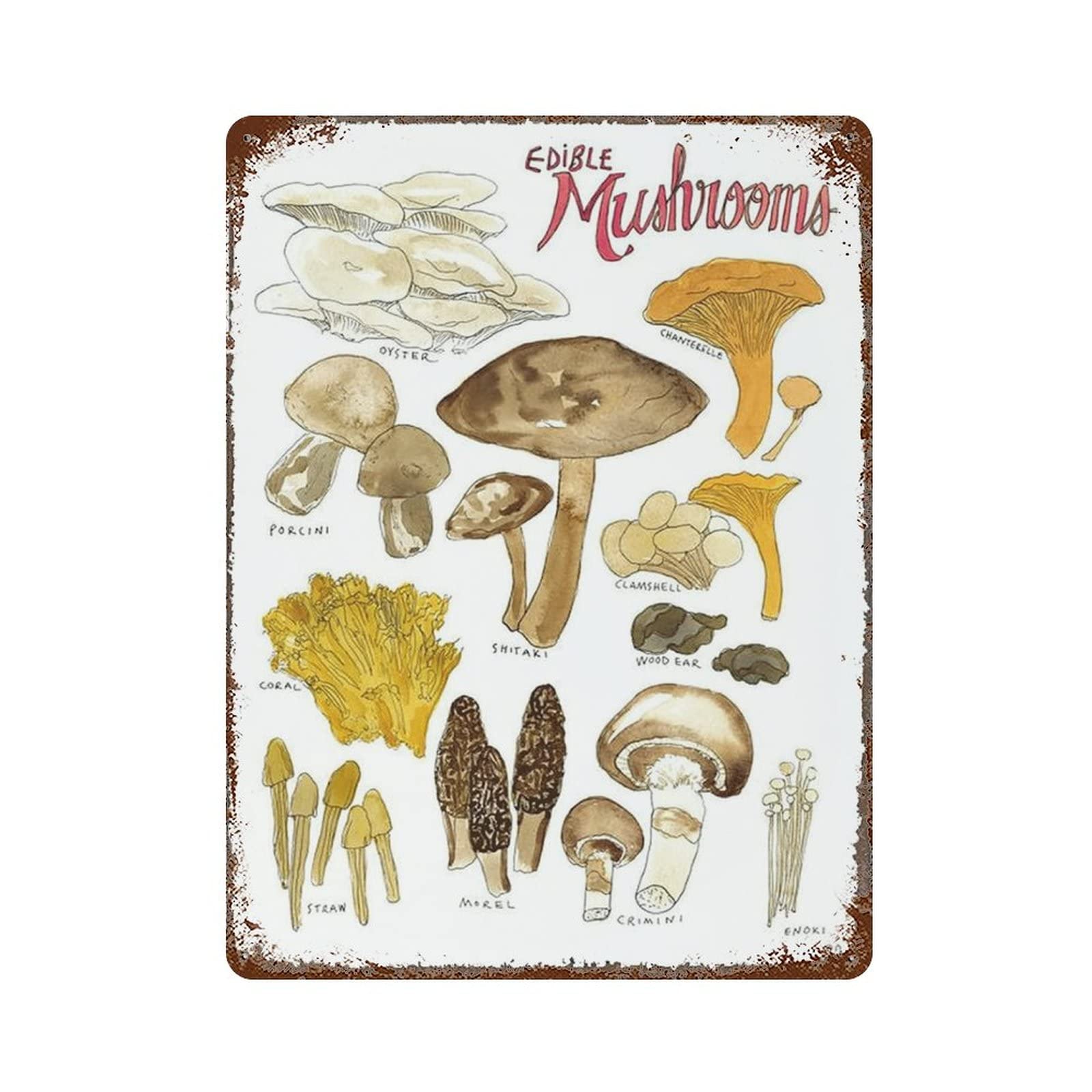 AOOEDM Edible Mushrooms Vintage Tin Sign Metal Tin Signs for Man Cave Funny Art Wall Plaque Kitchen Bar Pub Coffee Shop Wall Decor