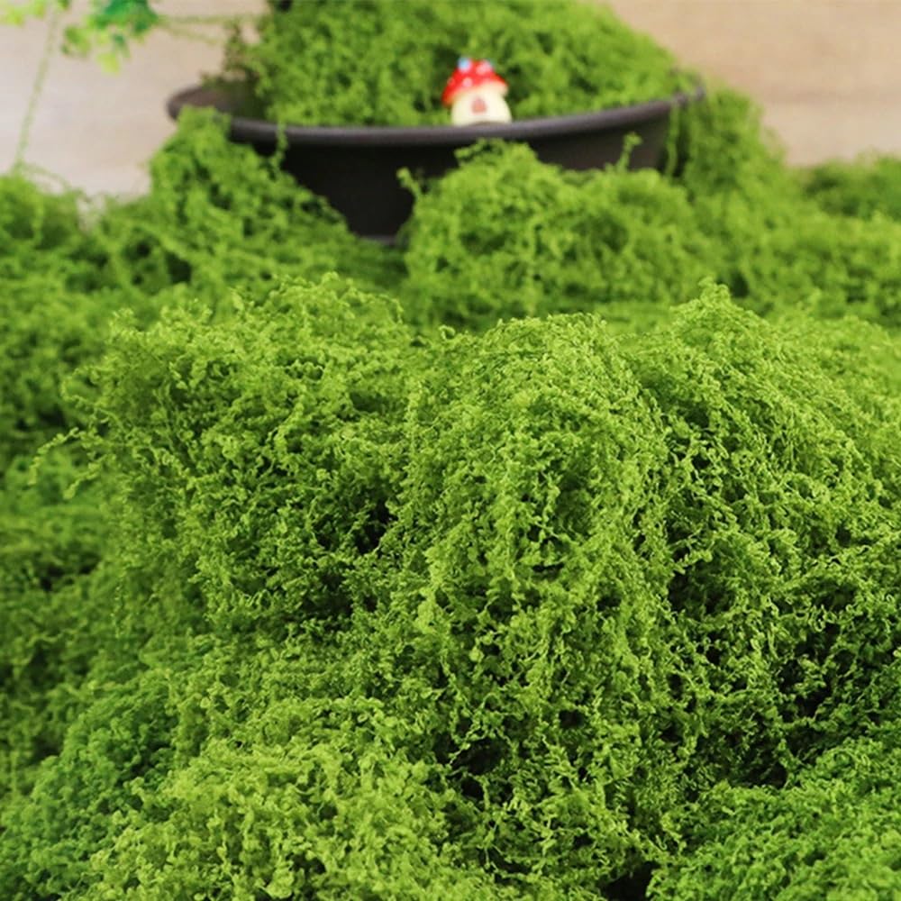 HZLXF1 300-30g Artificial Green Plants Landscape Mini Eternal Life Moss Grass Fake Grass Garden Living Room Home Decoration DIY Crafts(50g)