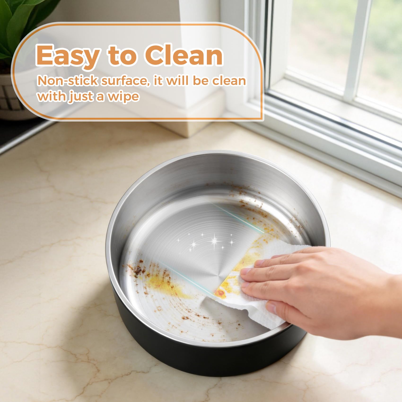 View 5