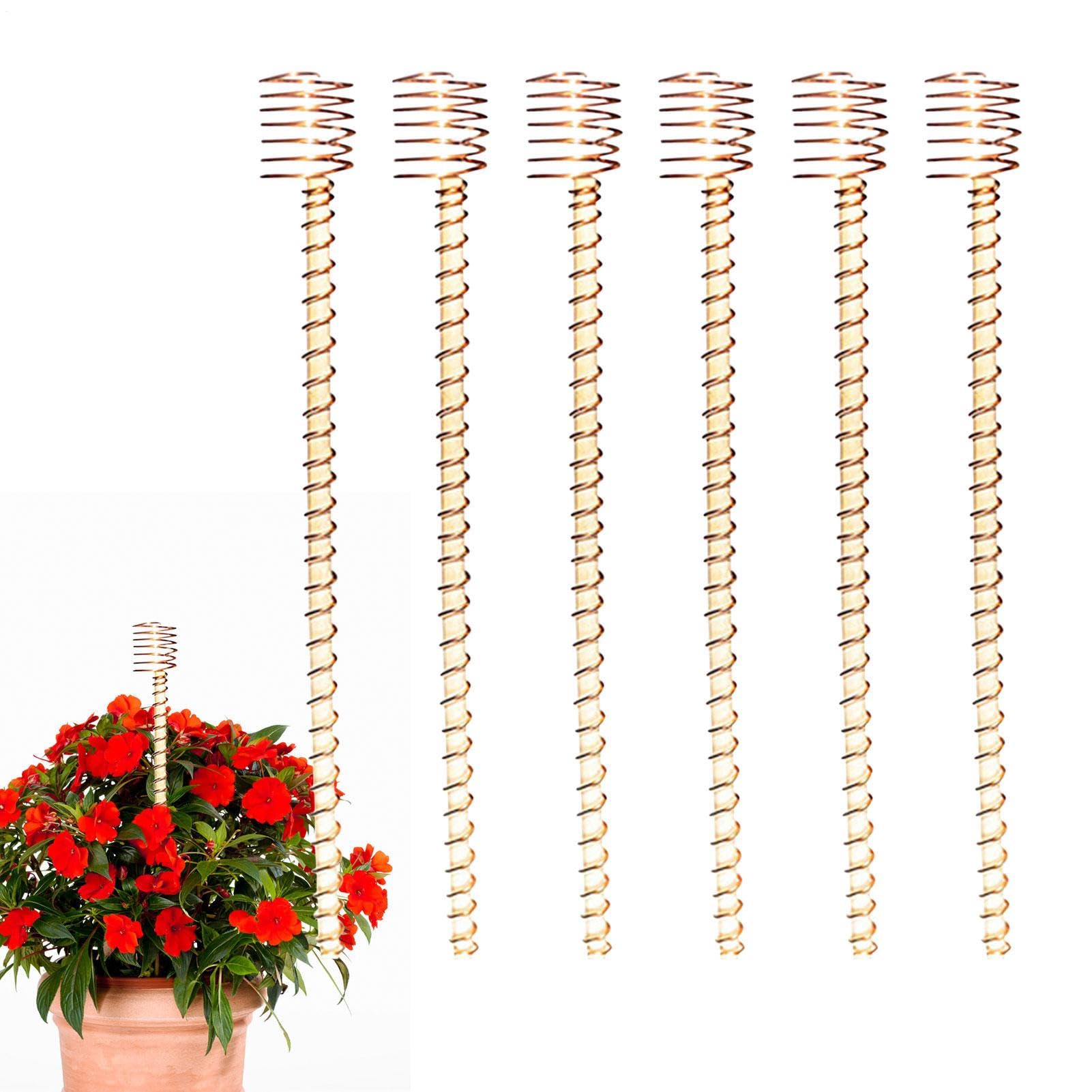 Antennes en fil de cuivre d'électroculture de 30,5 cm pour tuteurs de jardinage et fruits