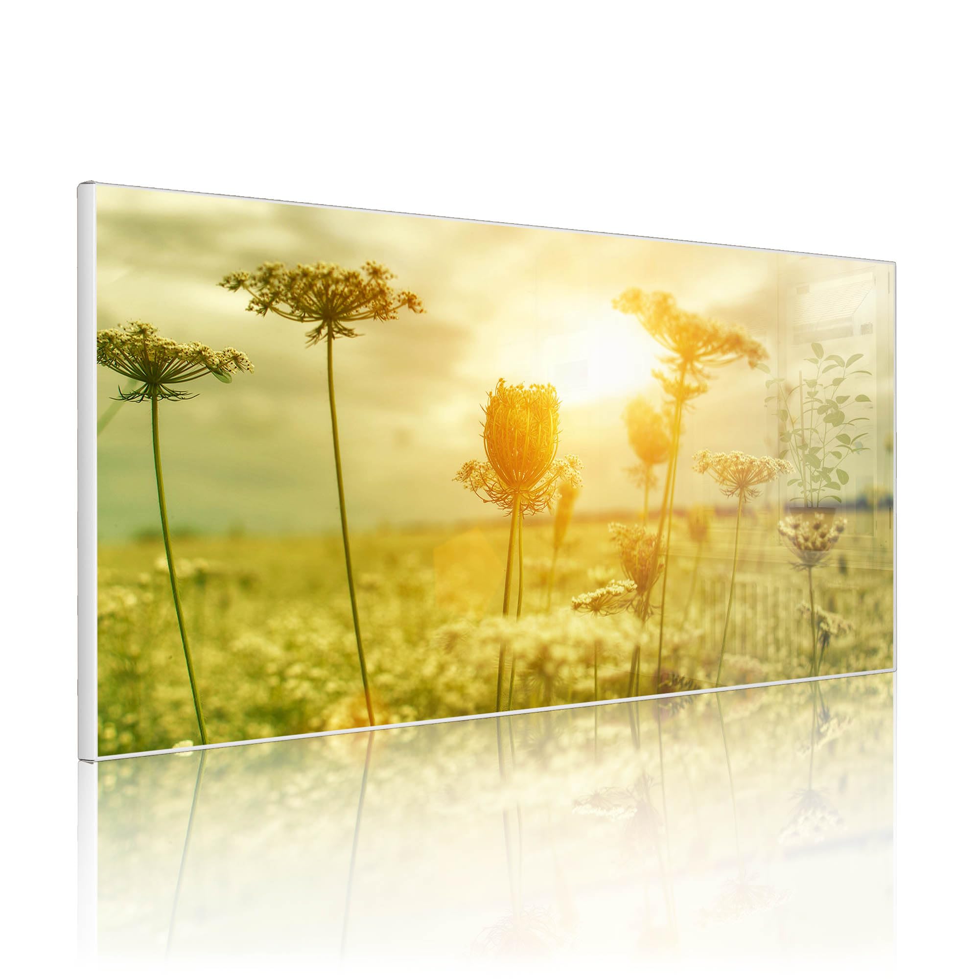 banjado Magnettafel Metall 78 x 37cm - beschreibbare Magnettafel - Metall Pinnwand als Memoboard - Magnetwand Küche, Büro, Kinderzimmer Weiß inkl. 4 Magnete & Montageset - Motiv Dill im Sonnenlicht