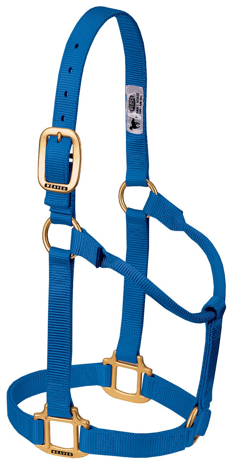 Weaver Leather Original Non-Adjustable Nylon Horse Halter , Blue, Weanling/Pony