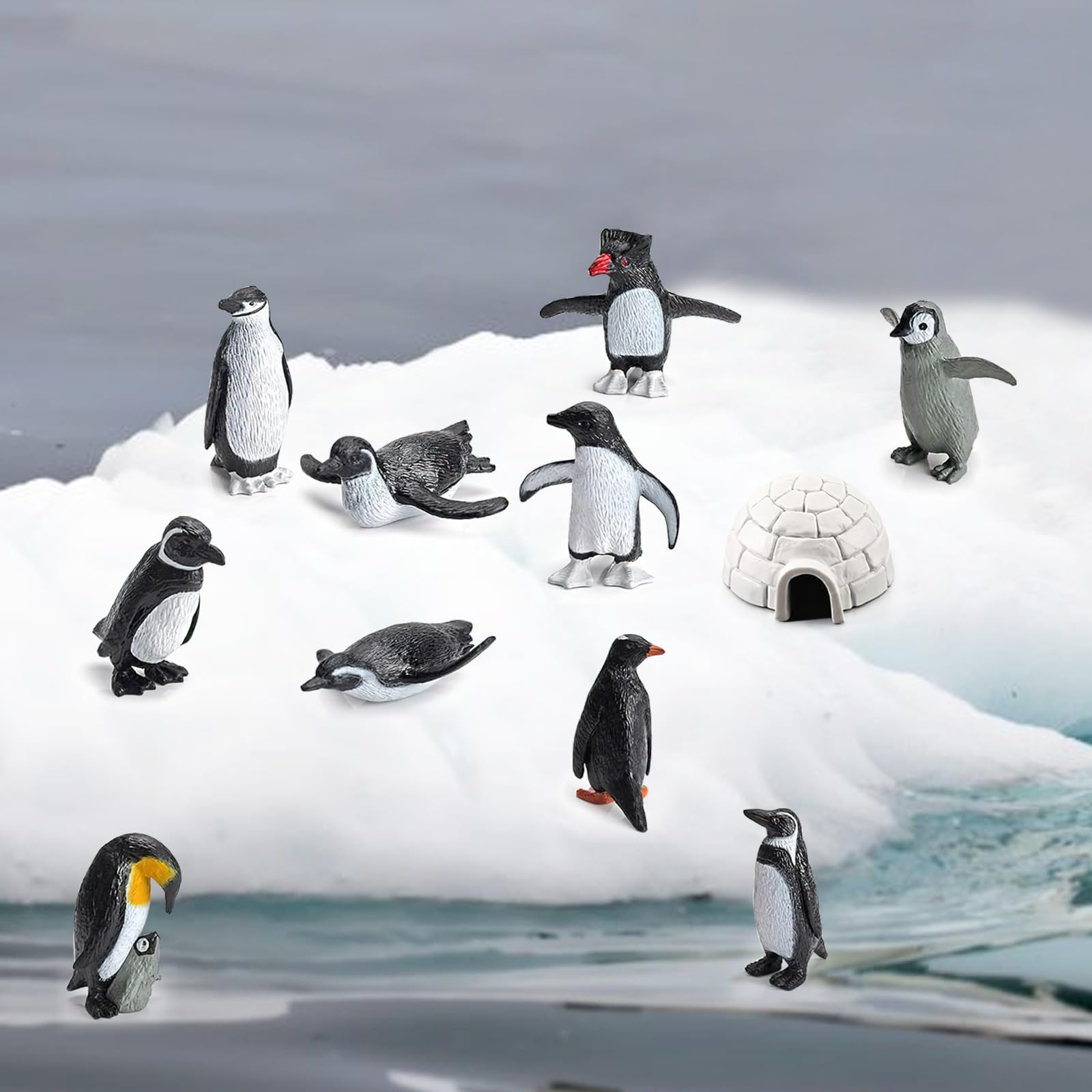 XHTLLO Set di Modelli Animali di Pinguini Realistici per Giochi Educativi E Decorazioni D'interni