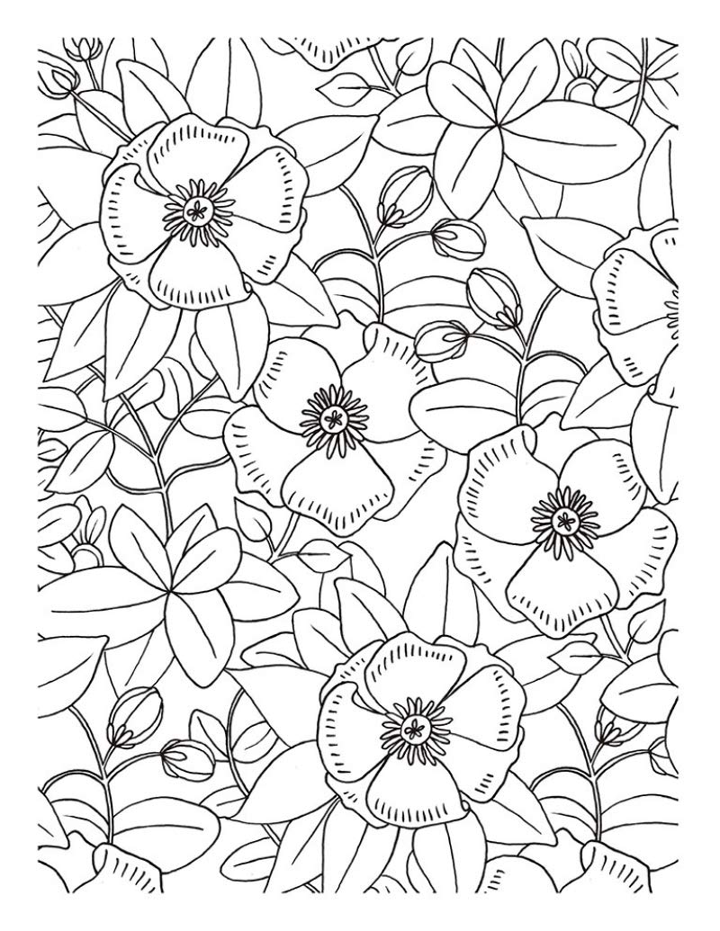 Arte antiestrés / Anti-Stress Art: Armonía y naturaleza. Láminas Para Colorear/ Harmony and Nature
