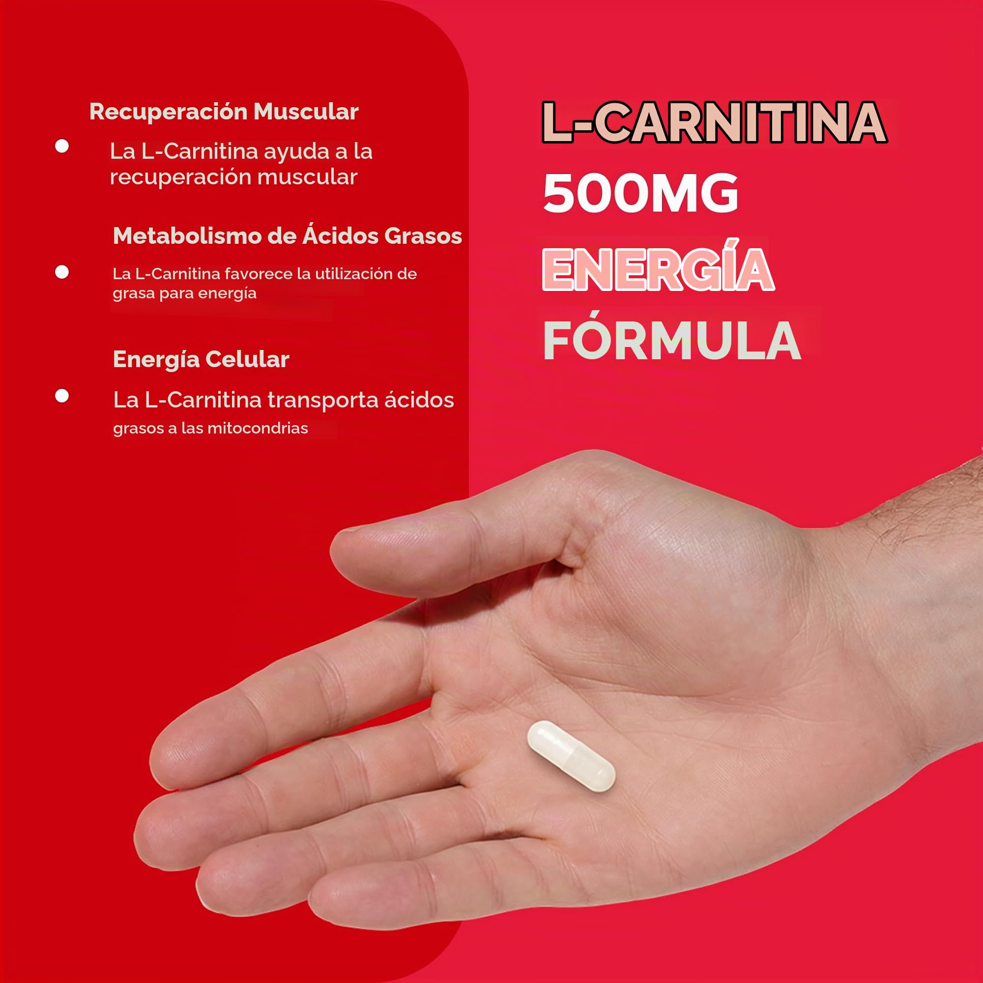 GNC Suplemento de L-carnitina de 500 mg, 60 cápsulas, suministro para 60