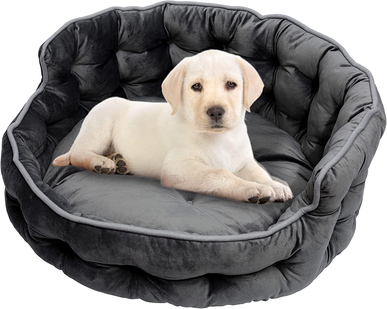 slatters be royal store Ultra Soft Velvet Luxury Sofa Bed PET Bed | Dog Bed | CAT Bed | Puppies Puppy Bed (3XL, Black) (B0CVF7N9RT) Amazon Price History, Amazon Price Tracker