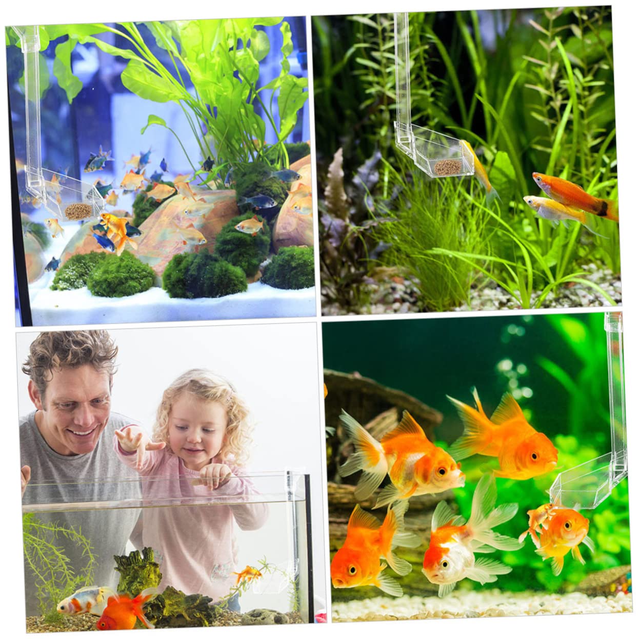Happyyami 3pièces Aquarium Transparent Acrylic Feeder pour Crevettes Et Poissons Tube Alimentation Pratique pour Aquariophilie