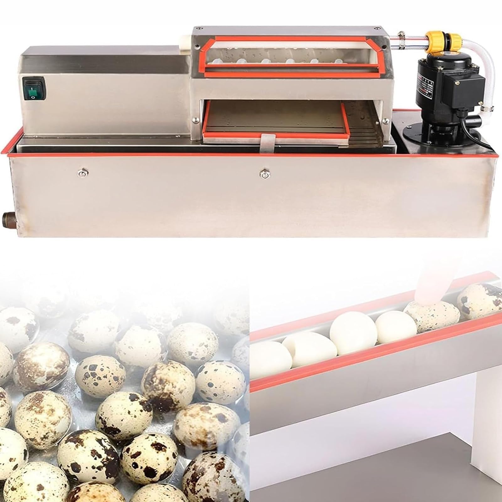 JIADUOFU Commercial Quail Egg Sheller, Electric Quail Egg Peeler Machine