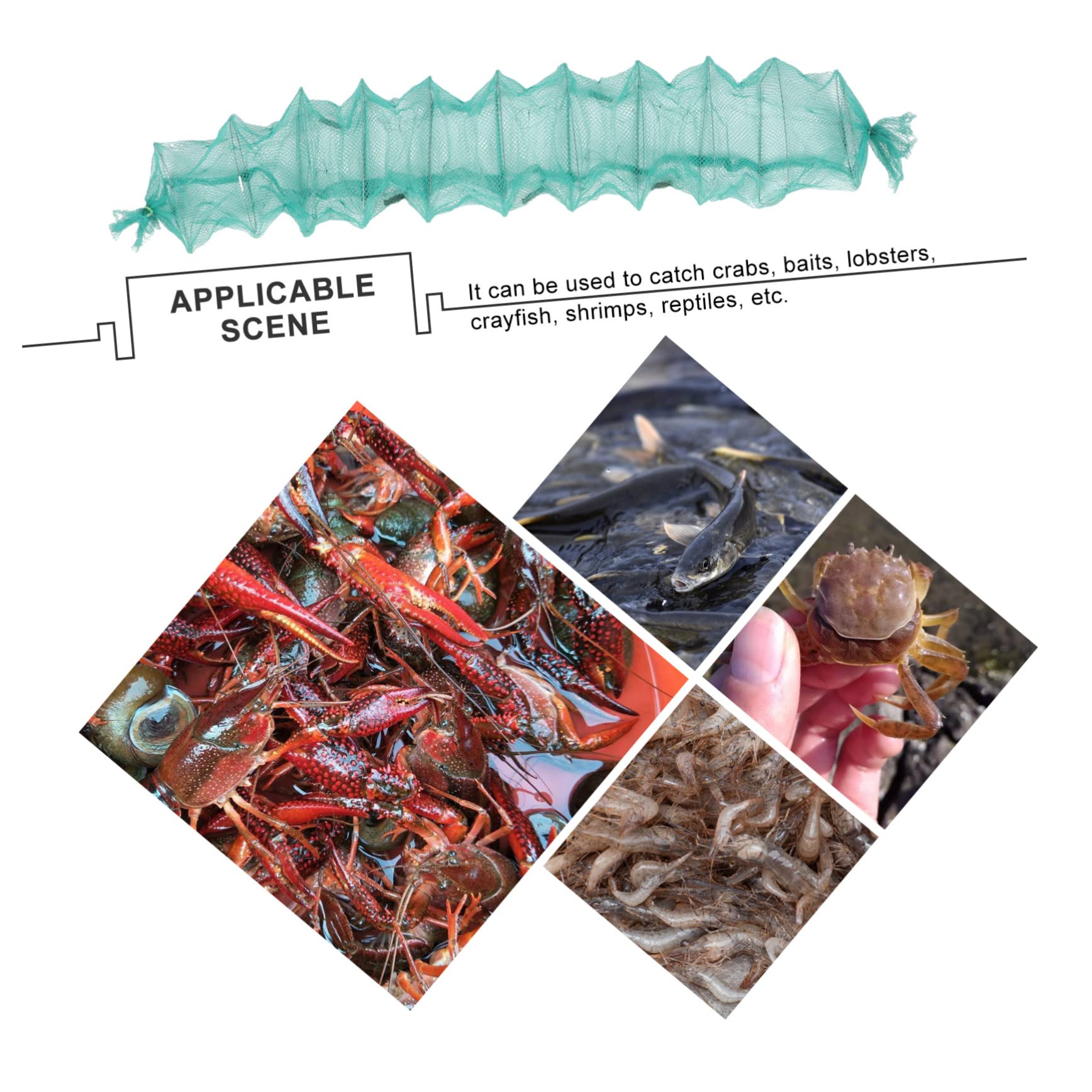 ibasenice Dispositivo per Pesca Portatile in Nailon e Ferro, Rete Multifunzione per Acchiappare Granchi e Rettili, Set 2 Unità per Pesca Esca