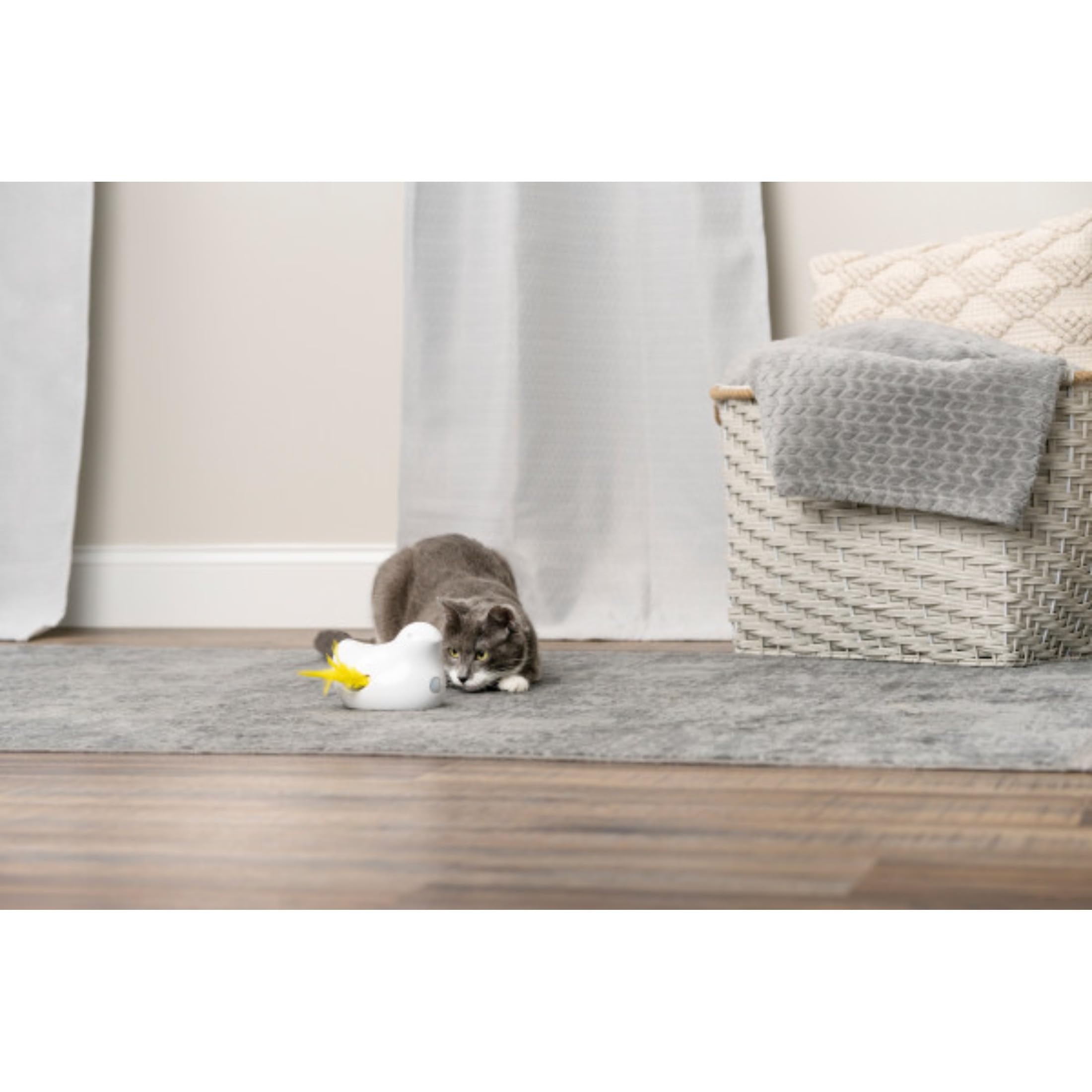 PetSafe Peek-a-Bird - Juguete Electrónico para Gatos - Juguete Interactivo para Felinos de Todas Las Edades, Entretenimiento para Gatos