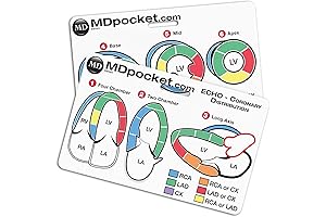 Rapid ID - Echocardiogram (Horizontal)