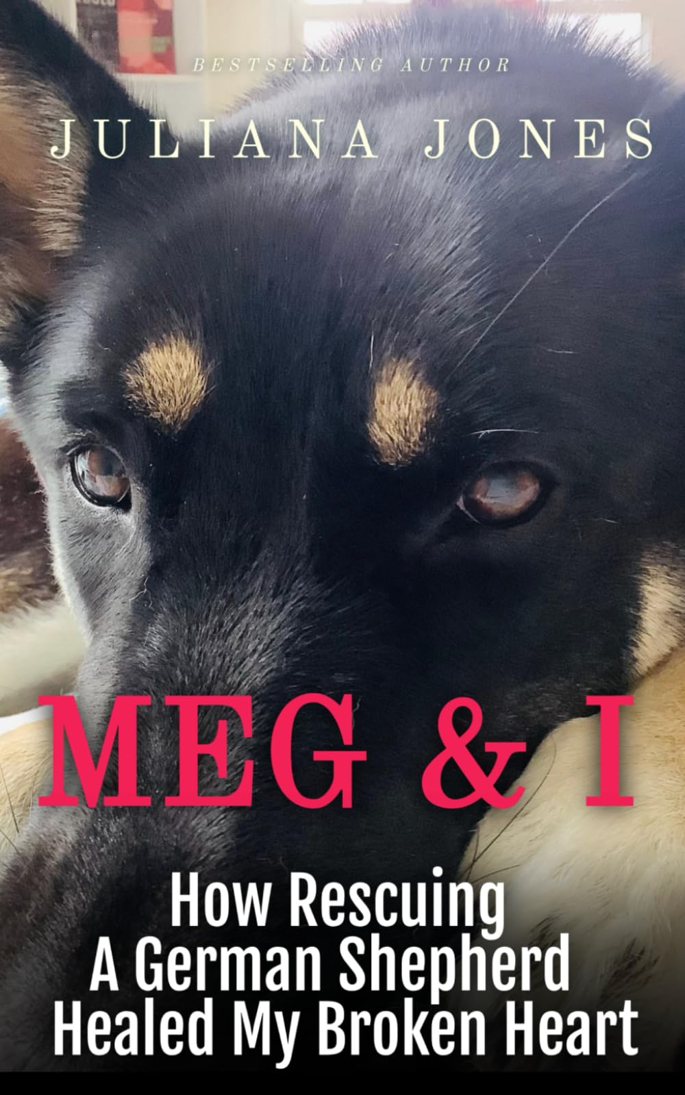 Meg & I; A Love Story: How Rescuing a German Shepherd Healed My Broken Heart