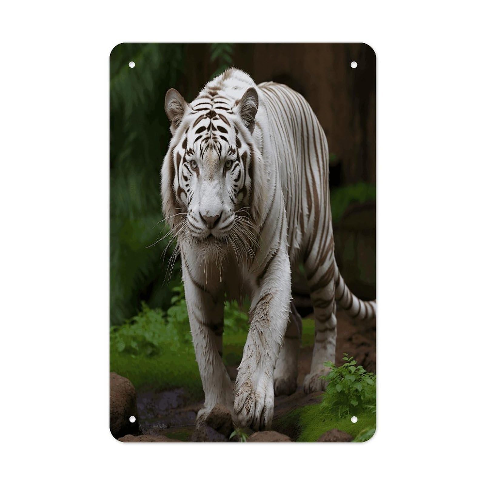 VstaDank Majestic White Bengal Tiger Metal Tin Signs Personalized Wall Art Prints Decoration Art Poster Funny Vintage Tin Sign Iron Sheet Painting Metal Signboard Decor Painting for Wall Decor