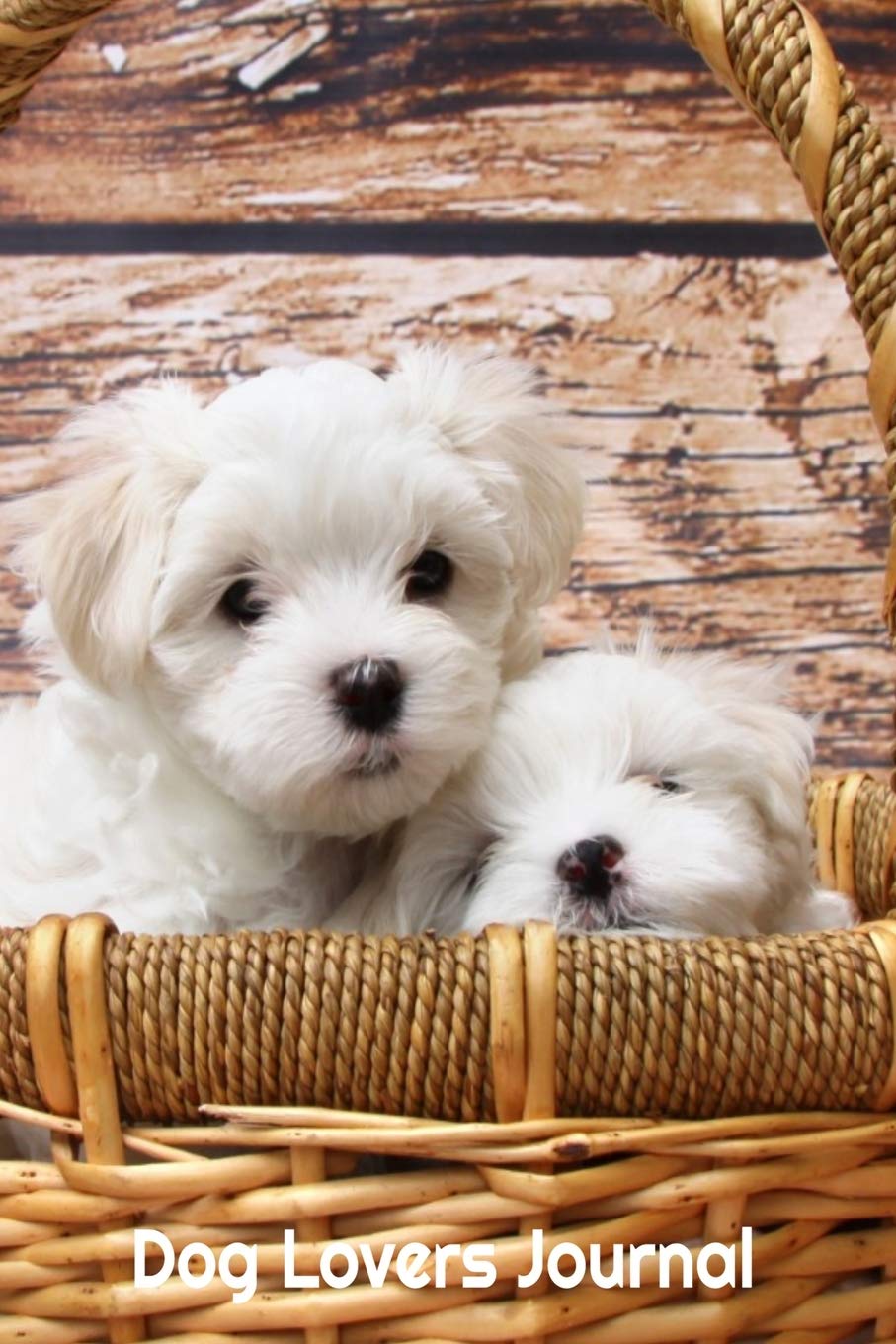 Dog Lovers Journal: Puppies in a Baset Design - A journal to record all of the amazing things that happen in your life 6 x 9 100 pages