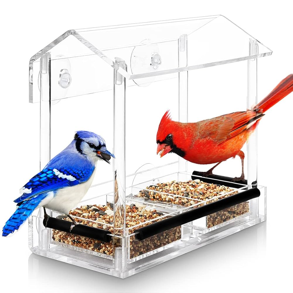 Amazon.co.jp: (フューチャーホーム) Future Home ウィンドウ