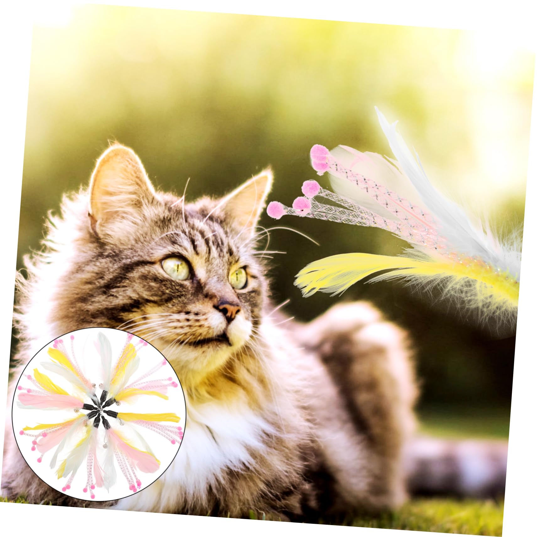 Yardwe 24stücke Teiliges Katzenfeder-spielzeugset Für Drinnen Interaktive Katzenangel Mit Federn Und Für Beweglichkeit Und Bindung Katze Und Besitzer