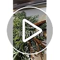 9FT Christmas Cedar Garland Artificial Real Touch Thickness Realistic Greenery Pine Garland for Mantle Fireplace Outdoor Indoor Christmas Decorations