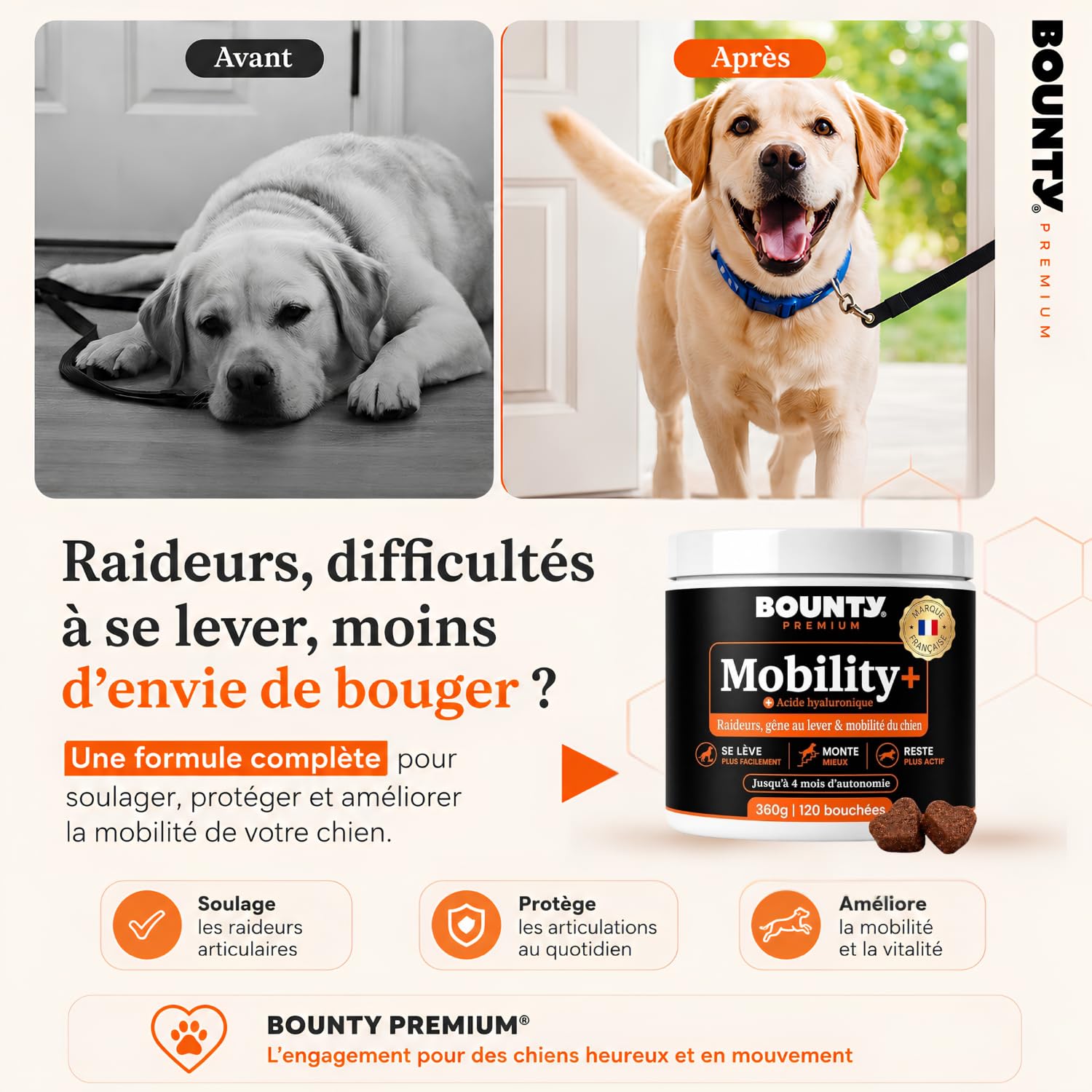 Mobility+ Complément Articulaire Chien – Arthrose & Douleurs Articulaires – 7 Actifs : Glucosamine, Chondroïtine, Collagène, Acide Hyaluronique, MSM – Senior & Grande Race – 120 Bouchées