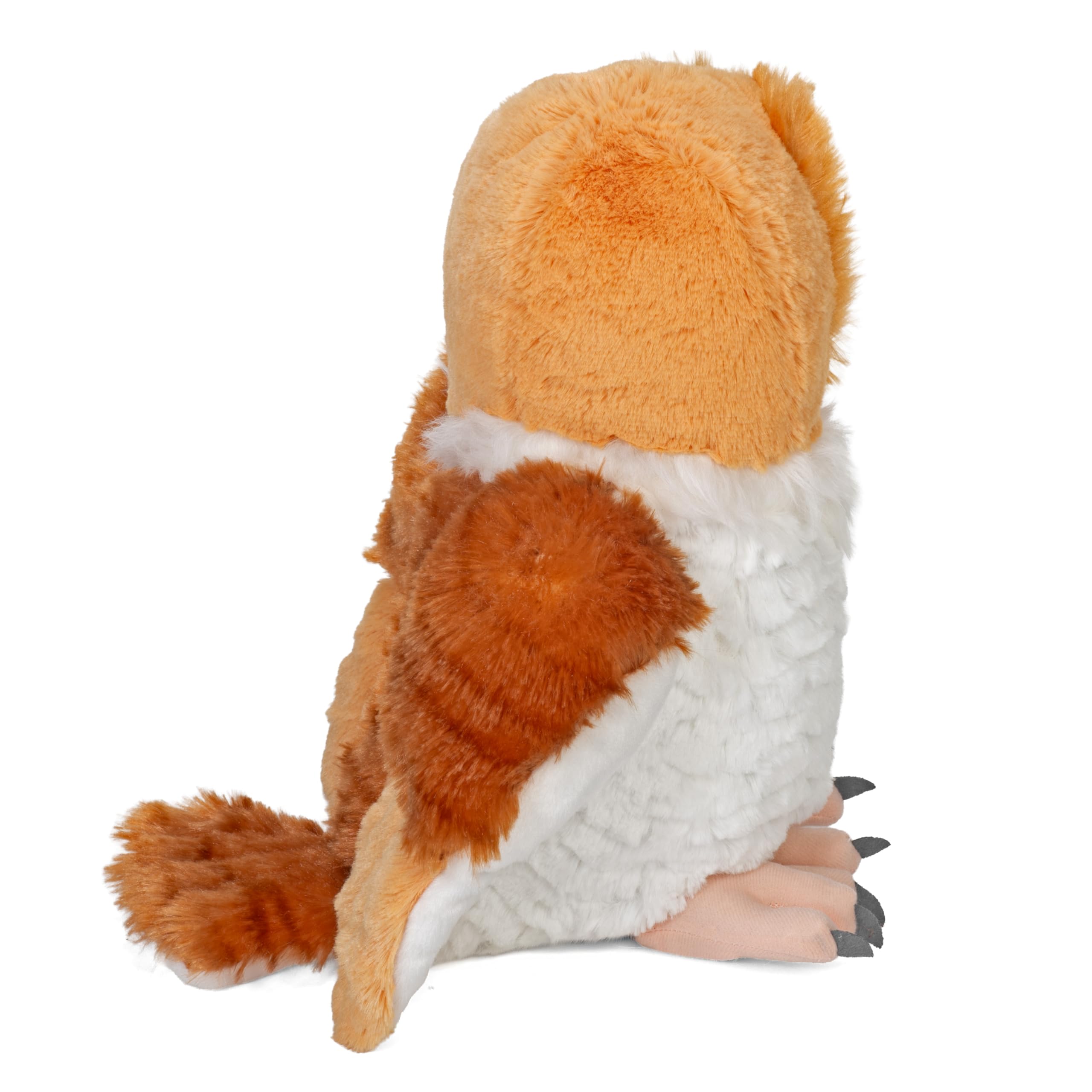 Amazon.co.jp: CK BARN OWL 12 : おもちゃ