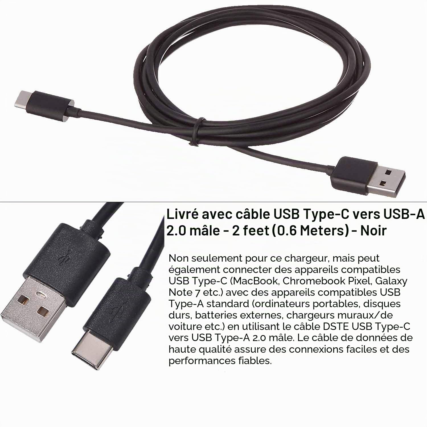 DSTE® Lot de 2 Batteries DMW-BLC12 DMW-BLC12e + kit de Chargeur Rapide Double USB pour appareils Photo Panasonic Lumix DMC-GH2 DMC-FZ330 DMC-FZ200 DMC-FZ200GK DMC-FZ1000 V-LUX4 Leica Q comme