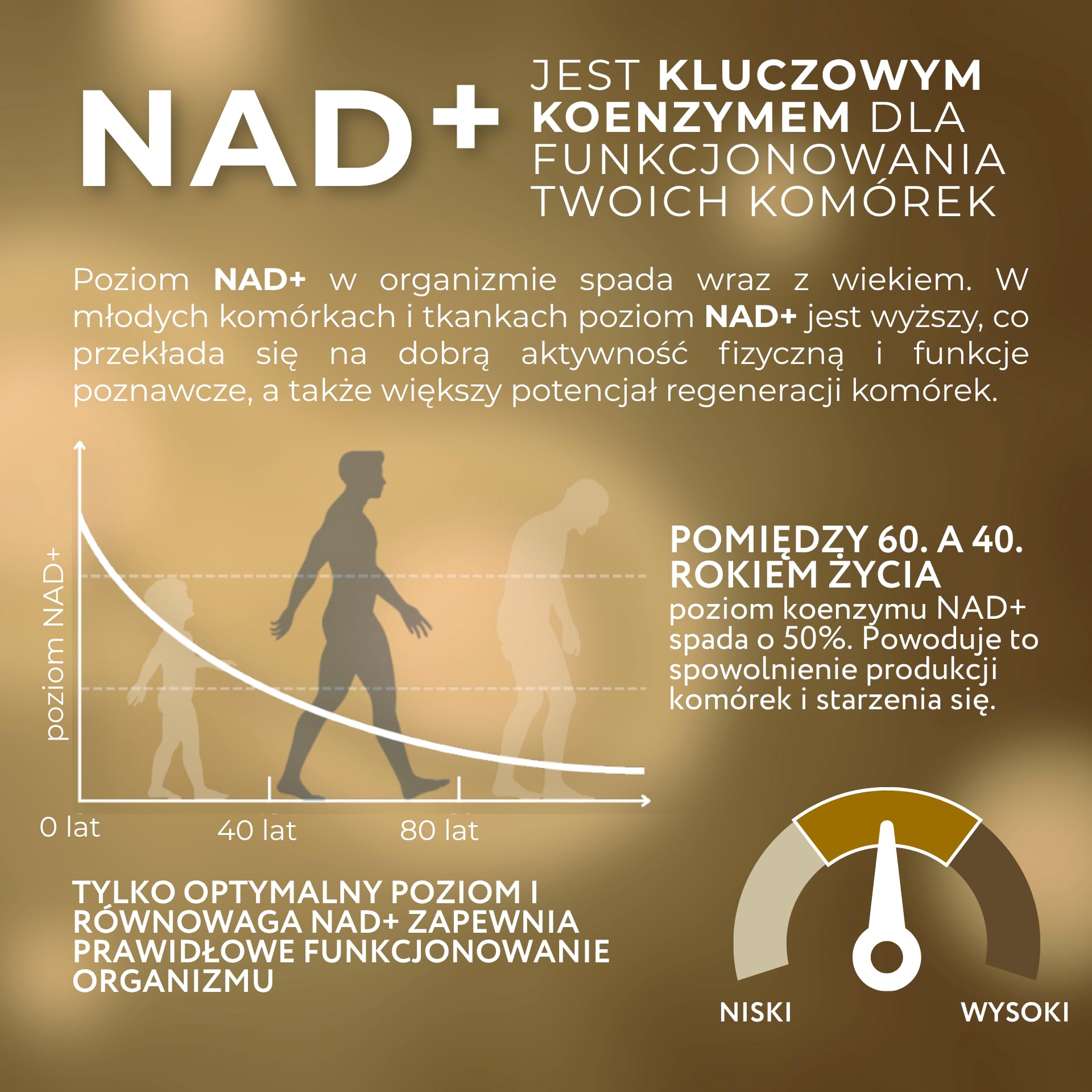 1-MNA PRO, Anti Aging, Suplement Optymalizujący NAD+, Podwójna Dawka dla Szybszych Efektów, Biohacking, Wsparcie Zdrowia Komórkowego, Opracowany Naukowo, 30 Kapsułek