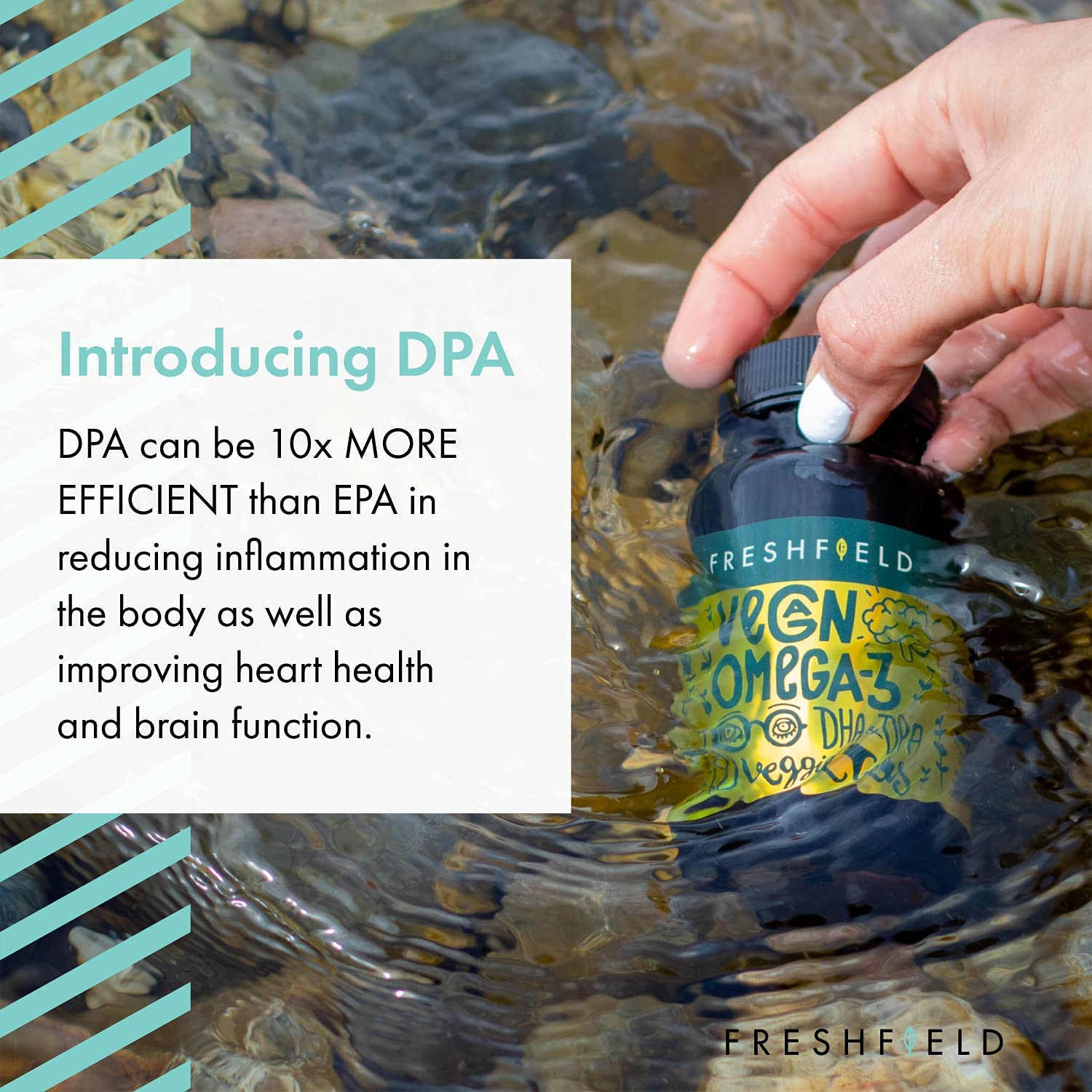 Buy Freshfield Vegan Omega 3 DHA Supplement Premium Algae Oil, 2 Month