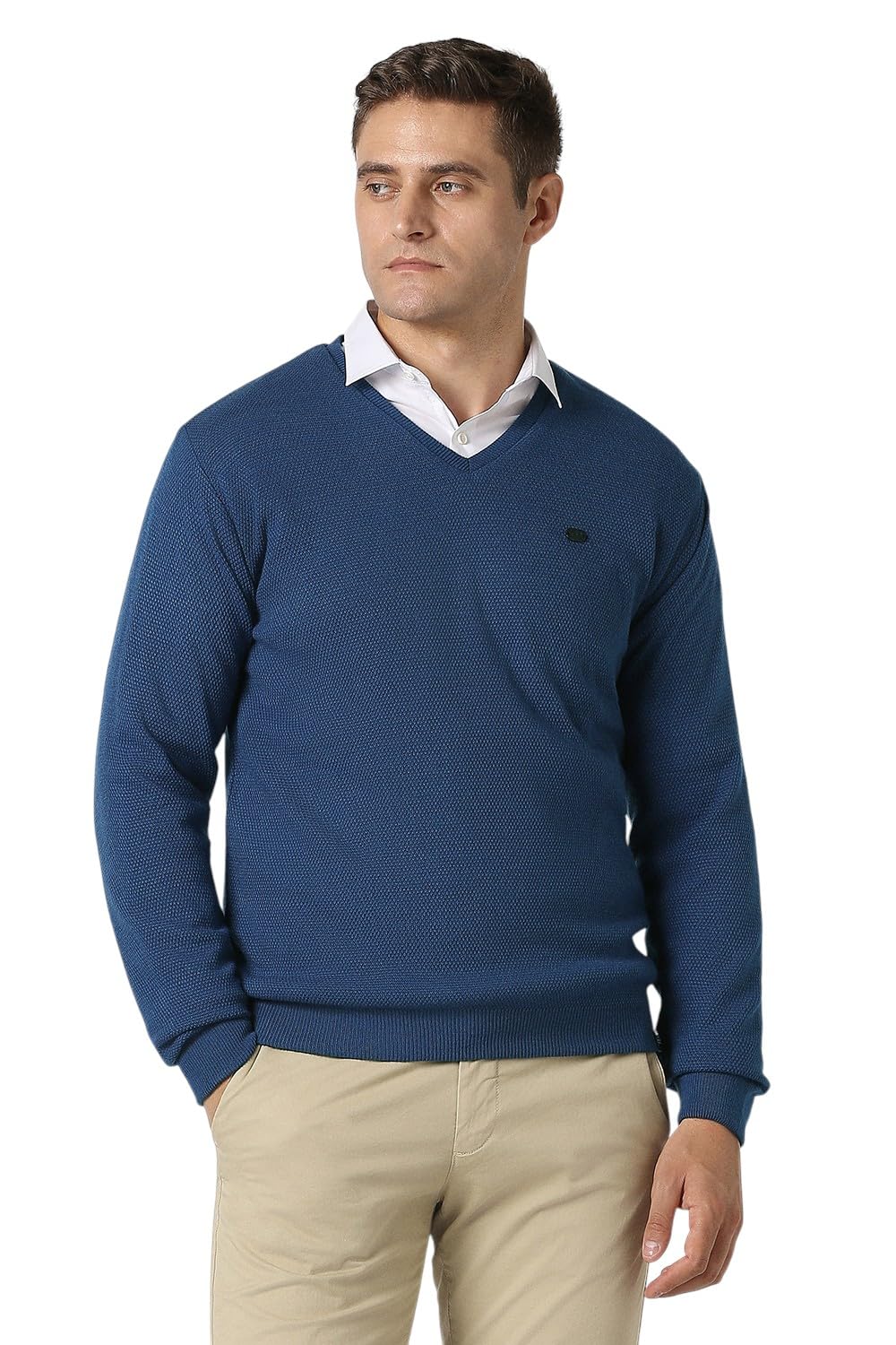 peter england Men Sweater-picture-19