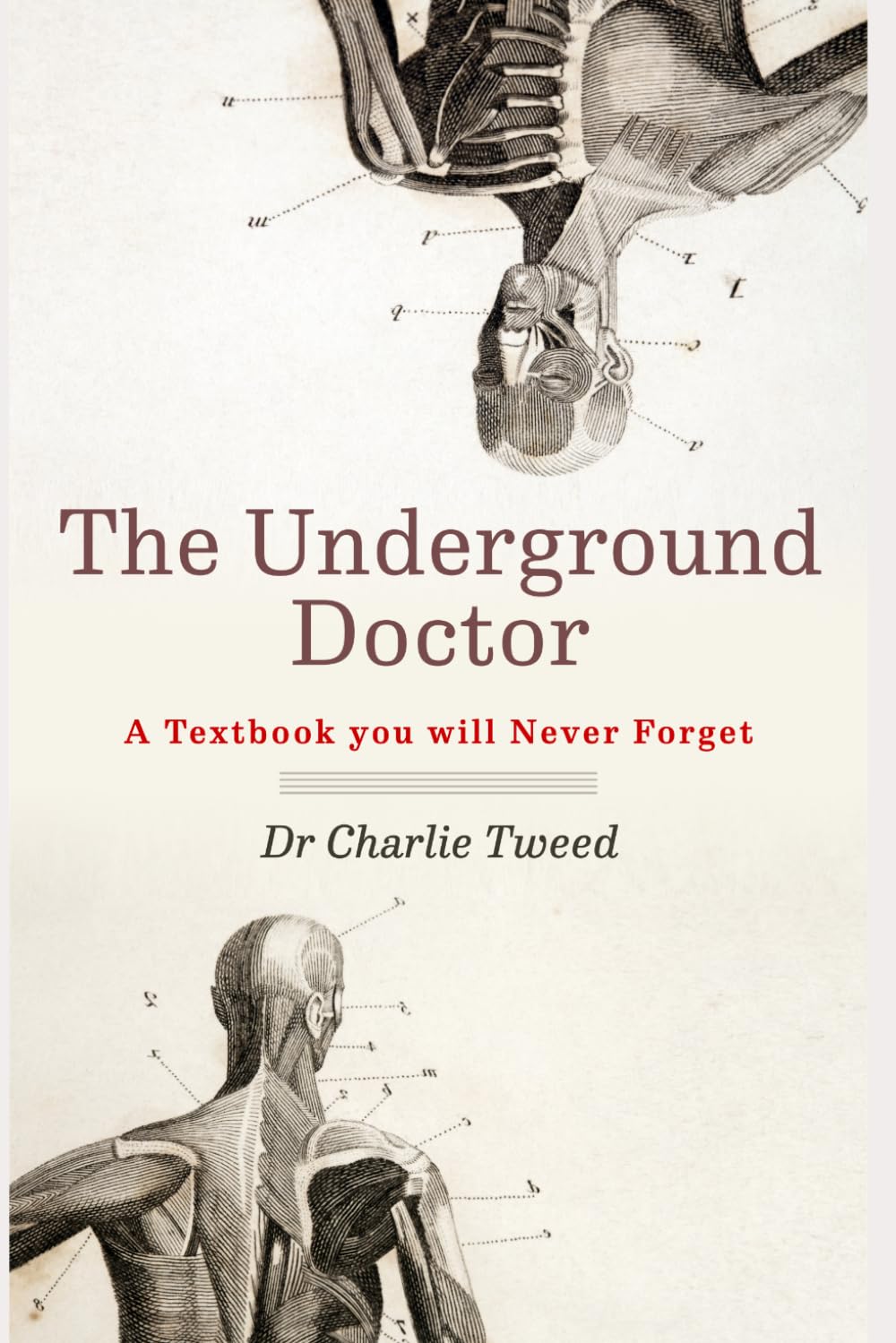 The Underground Doctor: A Textbook You Will Never Forget: 1 (Novel Medicine)
