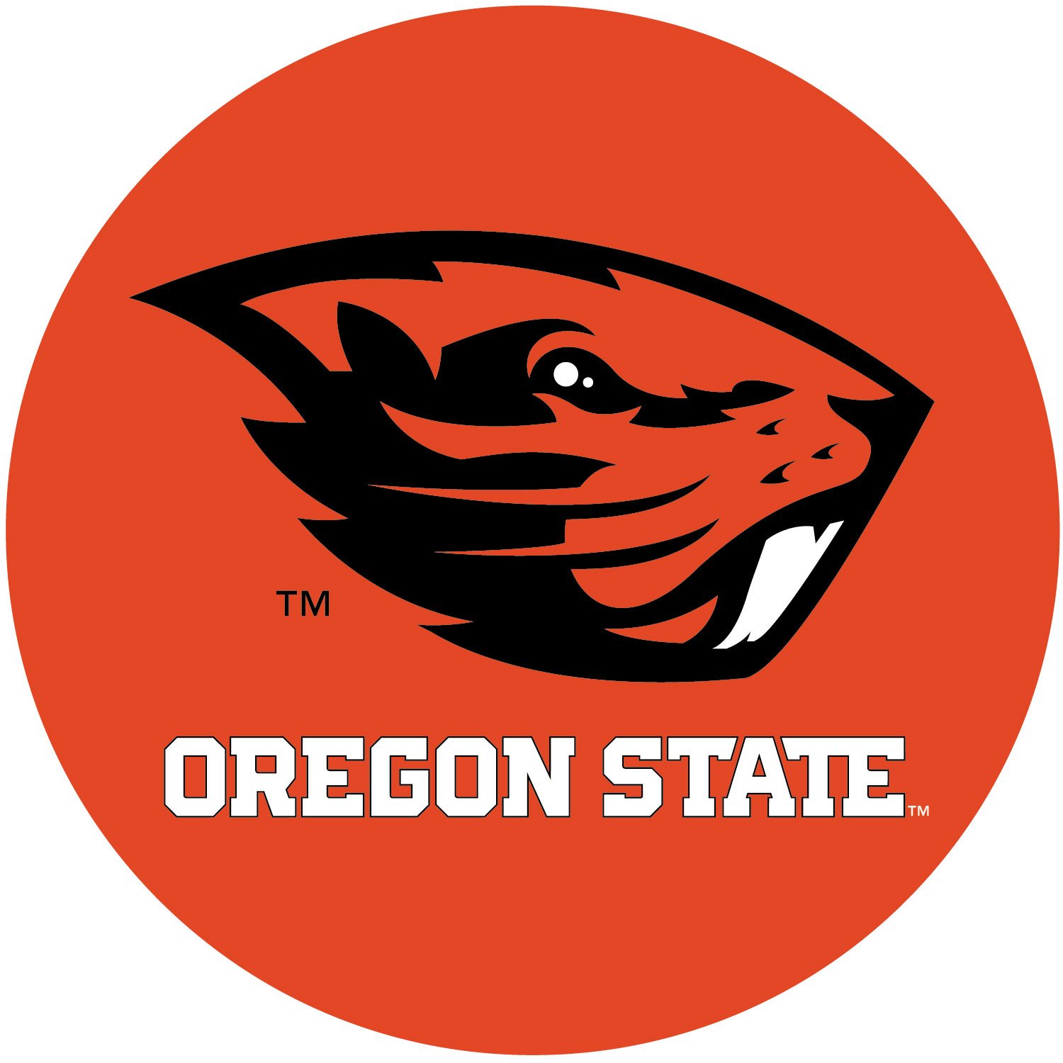Oregon State Beavers 10 Inch Round Magnet Officially Licensed Collegiate Product
