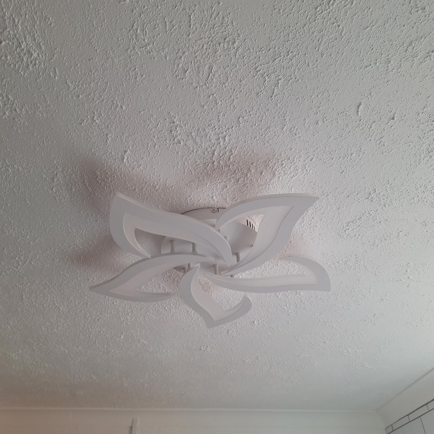 Customer photo