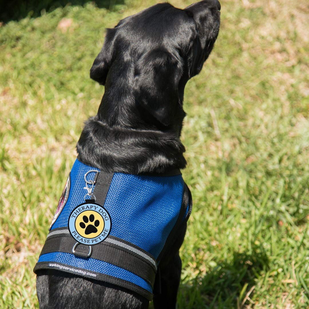 Therapy Dog Clip on Identification wisząca naszywka - klipsy do terapii dla psa, uprzęży, kołnierza, smyczy lub nosidełka.