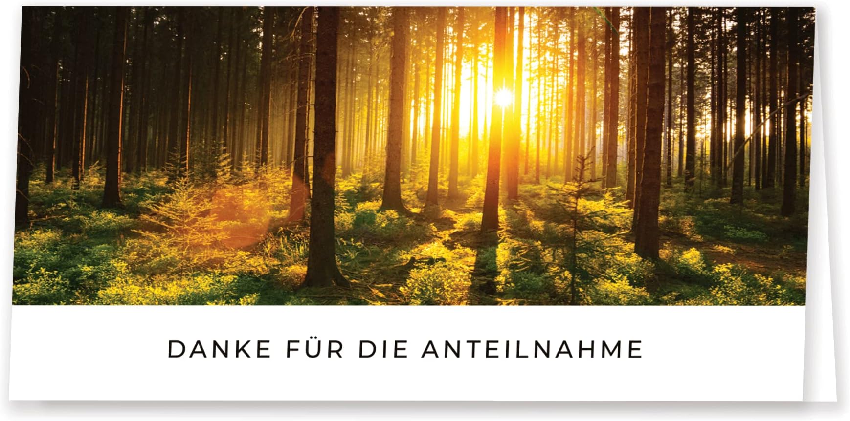 Friendly Fox Danksagungskarten Trauer mit Umschlag, 12 Trauerkarten ...