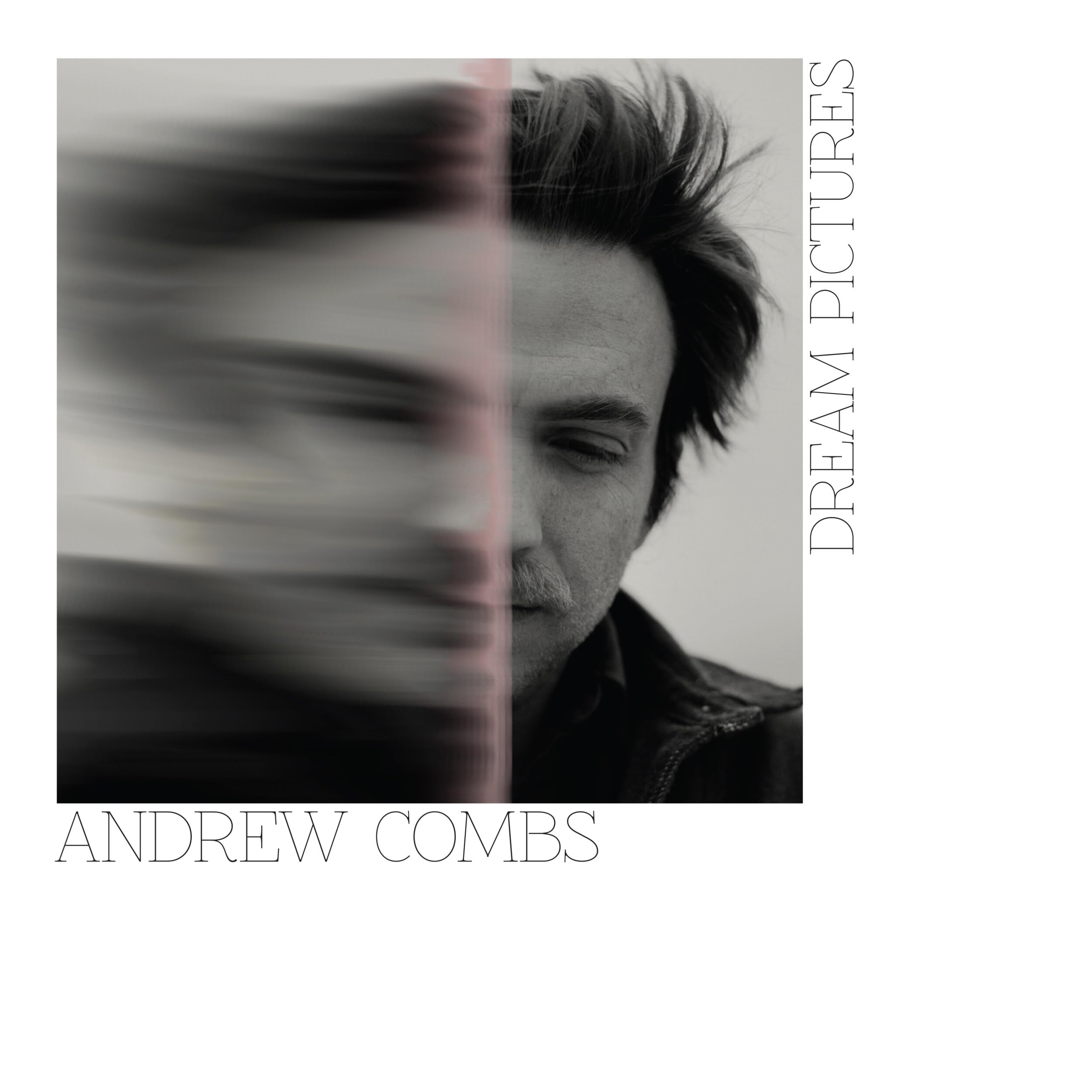 Dream Pictures [VINYL]