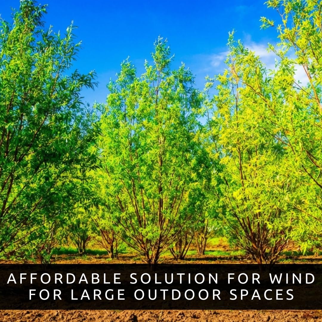 Amazon.com : 100 Austree Hybrid Willow Trees Live Plants – Fastest  display picture 1