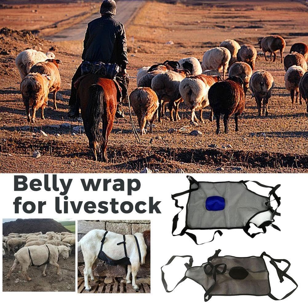 Buikbeschermer voor paarden, paardrijden lichtgewicht en ademend vliegengaas, buikbeschermer met verstelbare riemen voor het rijden stabiele instelling paardenbeschermvel