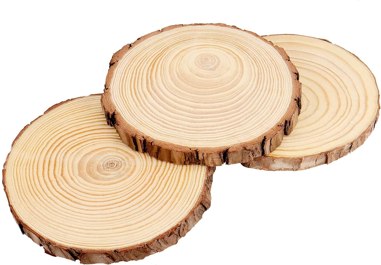 MUKCHAP 10 Pcs 6.3-7 Inch Natural Pine Wood Slices, 0.6 Inch Thick Unfinished Wood Discs for Festival Ornaments, Wedding Decoration, DIY Craft