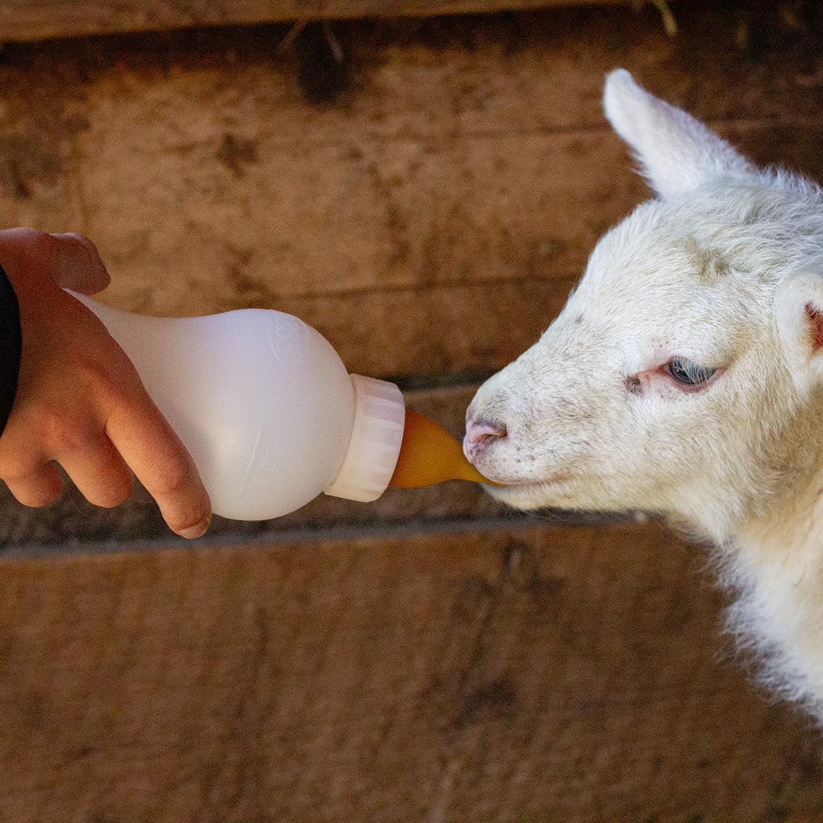 BESS Small Animal Nursing Bottle, No Leak Nipple with Insert, Wide Mouth Bottom Cap Easy Fill and Clean, Control Flow, Non-Collapsing (20oz, 4pk)