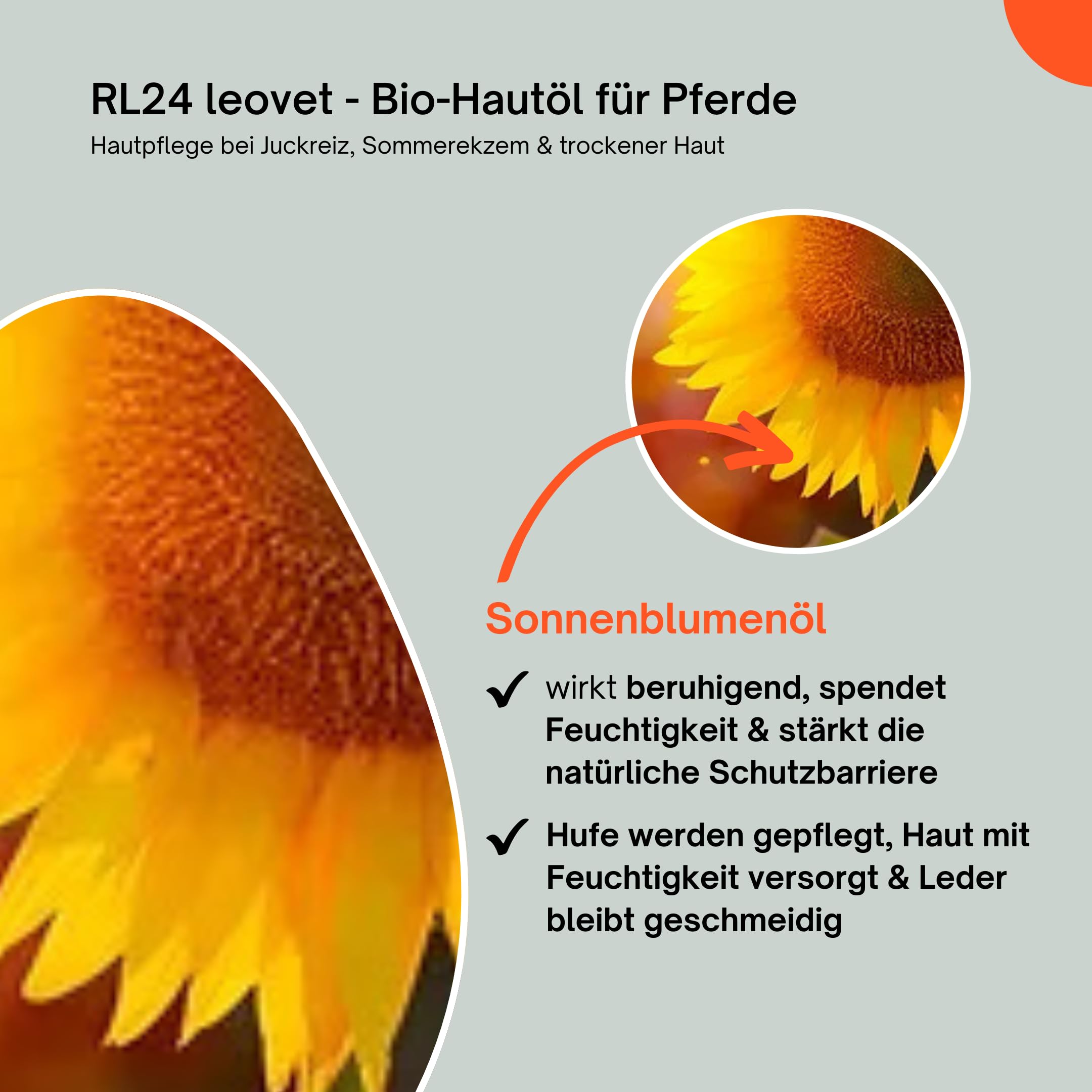 RL24 leovet - Bio-Hautöl für Pferde | Hautpflege bei Juckreiz, Sommerekzem & trockener Haut | Pflegelotion für Kräftigung der Haut | Hautlotion mit Bio-Schwefelfluid | 1 x 500 ml