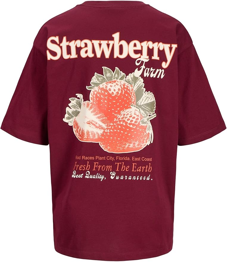 JACK & JONES Female T-Shirt JXSANDRA T-Shirt Cabernet